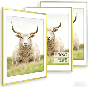 ชุดกรอบรูป S&L 3 ชิ้น ขนาด 16x24 นิ้ว สีทอง ขอบบาง พร้อมแผ่นรองสำหรับรู<span class=keywords><strong>ป</strong></span>ขนาด 12x18 และ 16x24 นิ้ว ตกแต่งผนังสไตล์โมเดิ<span class=keywords><strong>ร์</strong></span>น - Product Image 1