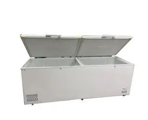 冷凍庫グローバル販売ソース、省エネ低温急速冷凍水平冷凍庫卸売