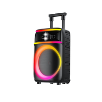 Altavoz de Karaoke Portátil con Ruedas de 12 Pulgadas para Fiestas Privadas, Máquina de Karaoke Inalámbrica de 60w con Ruedas
