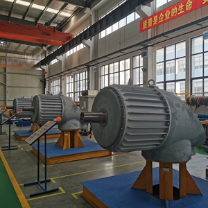 Generador Sincrónico de Neodimio Trifásico de CA Midfine PMG 5-10-20KW, 220v/380v - Product Image 1