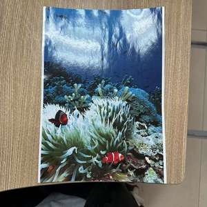 <b>Photo</b> <b>Paper</b> <b>A3</b> Heavyweight Double Sided High Glossy 50 Sheets180gsm - Product Image 6