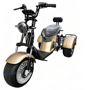Motocicleta eléctrica de tres ruedas con certificación CE, directa de fábrica, con cesta trasera, ideal para desplazamientos y ocio. - Product Image 1