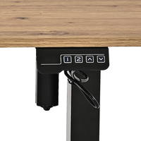 Bureau debout électrique, bureau de jeu réglable en hauteur, table d'ordinateur, mobilier de bureau à domicile, bureau de travail moderne