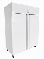 Congélateur vertical à température unique en acier inoxydable Guangzhou, réfrigérateur-chiller automatique mince pour stockage alimentaire