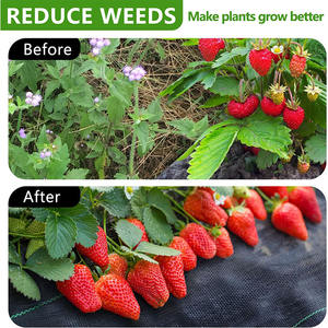 Toile tissée 100 % PP écologique anti-poussière et anti-mauvaises herbes, tissu de protection robuste pour jardin - Product Image 3