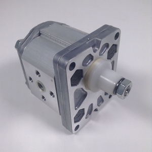 Bomba de Engranajes ALP2-D-25 Italy MAR-ZO-CCHI ALP2-D-30 ALP2-D-20/22 - Product Image 2