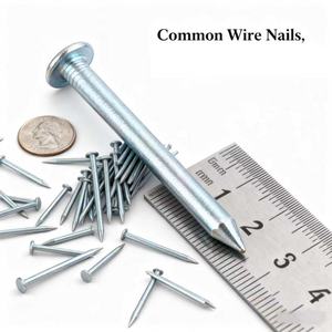 Toptan pürüzsüz elektro galvanizli vinil kaplı demir çubuklar çivi 2.5mm ölçer DIY sınıf 5-8kg çanta satış kuveyt pazarı - Product Image 4