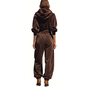 Women's Hooded Velvet 2 Piece <b>Set</b> - Elegant Long-Sleeve Top & Baggy Pants Formal Casual Outfit Fashion - Product Image 4