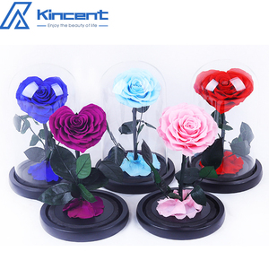 Regalos para el Día <span class=keywords><strong>de</strong></span> San Valentín 2025, <span class=keywords><strong>Rosa</strong></span> Eterna Real en Cúpula <span class=keywords><strong>de</strong></span> <span class=keywords><strong>Cristal</strong></span>, Flores <span class=keywords><strong>de</strong></span> Amor Eterno, Regalos para el Día <span class=keywords><strong>de</strong></span> la Madre <span class=keywords><strong>con</strong></span> Caja - Product Image 4