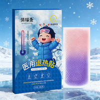 Vente en gros d'usine Nouveaux produits Meilleures ventes Produits chinois populaires Patch de gel physique anti-fièvre rafraîchissant
