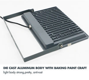 Прямая с фабрики 100 200 300 <span class=keywords><strong>400</strong></span> Ватт лампа 100 Ватт Светодиодный прожектор 10 Вт 30 Вт Быстрая доставка - Product Image 3