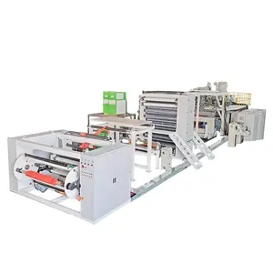Ligne de Production de papier en pierre PE caco3 machines de fabrication de papier extrudeuse à deux vis