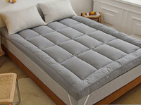 Lris Basit Düz Renkli Dokuma Polyester Elyaf Hafızalı Yatak Çift Katmanlı Tasarım. Yıkanabilir. 600TC İplik Sayısı. Katlanır Mat.