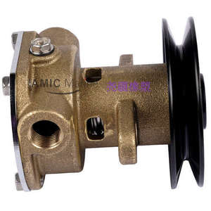 Conjunto de Bomba JMP JPR-KL101P, Bomba de Agua de Mar Cruda para Barcos, Eje de Acero Inoxidable, Teoría Centrífuga - Product Image 3