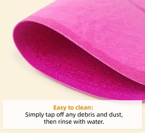 Tapis de porte en PVC pour animaux de compagnie, forme de patte, différentes couleurs, tapis de litière pour <span class=keywords><strong>chat</strong></span> en plastique, <span class=keywords><strong>prix</strong></span> d'usine, fabriqué en Chine - Product Image 5