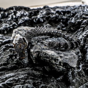 Pulsera de Dragón de Acero de Titanio para Hombre, Estilo Retro Punk, Chapado en Oro Oscuro, Diseño Animal, Joyería de Regalo CE621 - Product Image 1