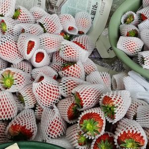 Plastik köpük <span class=keywords><strong>Net</strong></span> Cuello De Monja muz gaz silindiri koruma kollu - Product Image 6