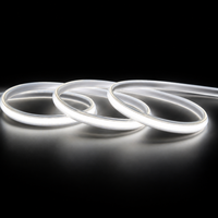 Support de bande LED flexible haute densité COB, tube étanche IP65, fabricant pour rétroéclairage TV, éclairage décoratif de jardin et de maison