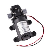 DC12V 72W 6A Mini Elektrische Selbstansaugende Membranpumpe Rückfluss-Wasserpumpen-Set für Autowäsche Gartenbewässerung