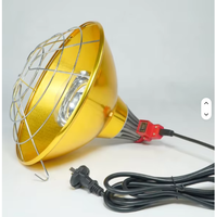 Ampoule chauffante infrarouge E27 110-240V 175W 275W pour élevage, lampe de chauffage à isolation thermique pour ferme d'élevage (vente en gros)