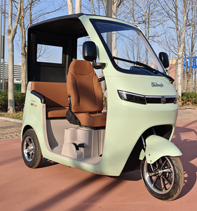 Tricycle électrique sûr et bon marché de l'entrepôt européen Type de corps fermé de <span class=keywords><strong>vélo</strong></span> pour le chariot de nourriture et la publicité publique - Product Image 4