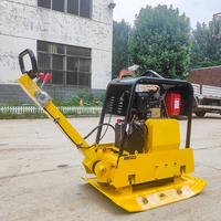 LTMG 2024 Chine Compacteur de sol à main diesel à essence de meilleure qualité Mini compacteur à plaques vibrantes pour chantier de construction