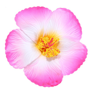9cm di colore misto hawaiana partito di ibisco fermaglio per <span class=keywords><strong>capelli</strong></span> in schiuma grande fiore accessori per <span class=keywords><strong>capelli</strong></span> per banchetti <span class=keywords><strong>fiori</strong></span> di simulazione <span class=keywords><strong>fiori</strong></span> - Product Image 6