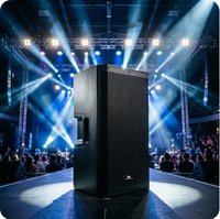 Prix Usine Promotion Nouvelle Arrivée Personnalisée Enceinte Active DSP 15 Pouces Classe D 500W RMS pour Bar Mariage Fête en Plein Air Spectacle de Groupe