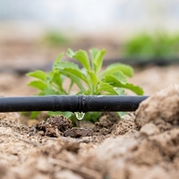 Système d'irrigation goutte à goutte 100% matière première plastique DN 16mm, goutteur plat interne, bande d'irrigation goutte à goutte souterraine pour cultures en rangs