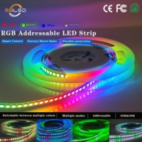 WS2812B 144LEDs/M DC5V RGB Addressable LED Strip Dream Color Bias Lighting for TV Backlight Home Theater Monitor OEM Factory