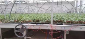 80 cm wide100meters dài 220v220w/mét vuông hồng ngoại xa nóng tấm hồng ngoại sưởi ấm phim cho Nhà Ấm - Product Image 6