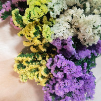 Arrangement de fleurs naturelles préservées - Myosotis Sylvatica, Statice Limonium - Décorations de mariage d'intérieur