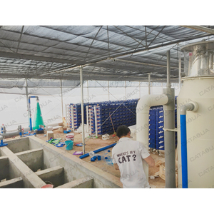 Système d'équipement d'aquaculture avancé RAS Farming Crab Box pour le homard australien - Product Image 4
