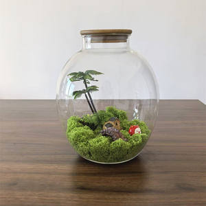 Jarrón <span class=keywords><strong>de</strong></span> Vidrio <span class=keywords><strong>de</strong></span> Diseño Único, Exhibición <span class=keywords><strong>de</strong></span> Plantas Aéreas <span class=keywords><strong>de</strong></span> <span class=keywords><strong>Mesa</strong></span>, Terrario <span class=keywords><strong>de</strong></span> Vidrio con Tapa <span class=keywords><strong>de</strong></span> <span class=keywords><strong>Corcho</strong></span> <span class=keywords><strong>para</strong></span> Decoración del Hogar - Product Image 5