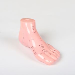 Modèle d'<span class=keywords><strong>acupuncture</strong></span> des pieds, médecine chinoise, 13cm, Science du corps, réflexologie, nouveau - Product Image 4