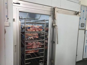 Sala de descongelación de <span class=keywords><strong>pollo</strong></span> para máquina de descongelación Sala de descongelación de <span class=keywords><strong>microondas</strong></span> de carne congelada - Product Image 6