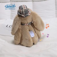 Enregistreur vocal miniature de forme ronde caché de 20 secondes à vendre, boîte d'enregistrement vocal personnalisée en usine pour les peluches