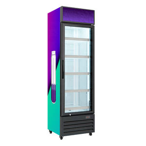 Refrigeradores Verticales <span class=keywords><strong>de</strong></span> <span class=keywords><strong>Vidrio</strong></span> APEX para Exhibición <span class=keywords><strong>de</strong></span> Bebidas con Precios Justos, Precios <span class=keywords><strong>de</strong></span> Refrigeradores 2023 - Product Image 5