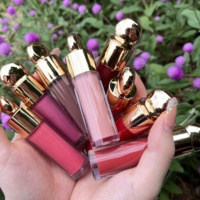 Rouge à Lèvres Liquide Mat Imperméable Cosmétiques Personnalisés de Luxe à Étiquette Privée, 20 Couleurs