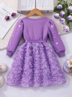 Robe longue à manches longues pour filles d'automne de petite et moyenne taille, style princesse, couleur unie, fleur tridimensionnelle, perle