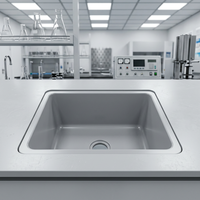 Évier de laboratoire en résine époxy anti-corrosion standard Durcon