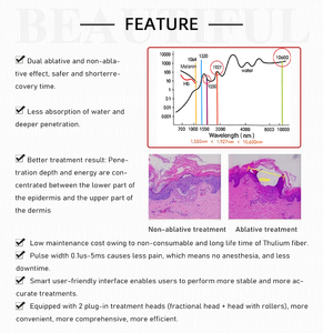 Apparecchiatura Laser Frazionale al Tulio da 1927nm per Uso Desktop, Non Invasiva, per Rigenerazione del Collagene, Riparazione Smagliature e Cura del Viso - Product Image 6