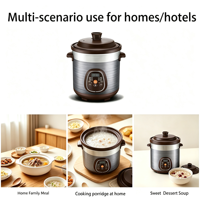 Marmite Électrique en Céramique Non Revêtue Grande Capacité pour la Cuisson de Soupes et de Conge, Certifiée CB