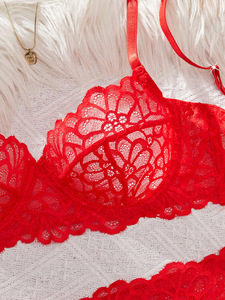 Red Floral Lace Bra and Thong <b>Set</b> Women's <b>Sexy</b> Lingerie Underwire Bralette With Embroidery Detailing Semi Sheer Intimates - Product Image 4
