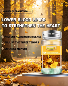 Capsule de Ginkgo Biloba naturel en gélule molle 1000mg, Complément de soutien du système sanguin de haute qualité, Non-OGM et certifié Halal - Product Image 3