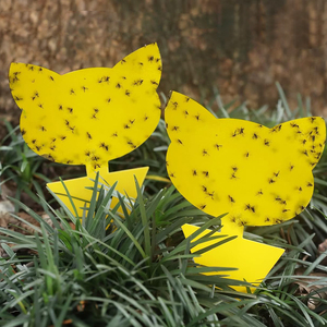 Trampa para moscas <span class=keywords><strong>de</strong></span> frutas Trampas pegajosas para <span class=keywords><strong>mosquitos</strong></span> Insectos voladores Colector <span class=keywords><strong>de</strong></span> insectos - Product Image 5