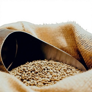 Grains de café vert biologique d'Arabica du Vietnam, qualité AA+, taille 18, 100% naturel, marque TNFOOD, certifié ISO 22000, 1000 kg, directement de l'usine - Product Image 1