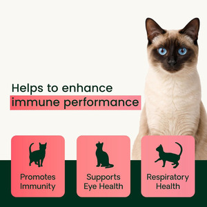 <span class=keywords><strong>Poudre</strong></span> de <span class=keywords><strong>Lysine</strong></span> <span class=keywords><strong>pour</strong></span> la Santé Immunitaire des Chats et des Chatons - Complément de Soutien Nasal Immunitaire, Soulage les Éternuements, le Nez qui Coule et les Yeux Larmes - Product Image 4