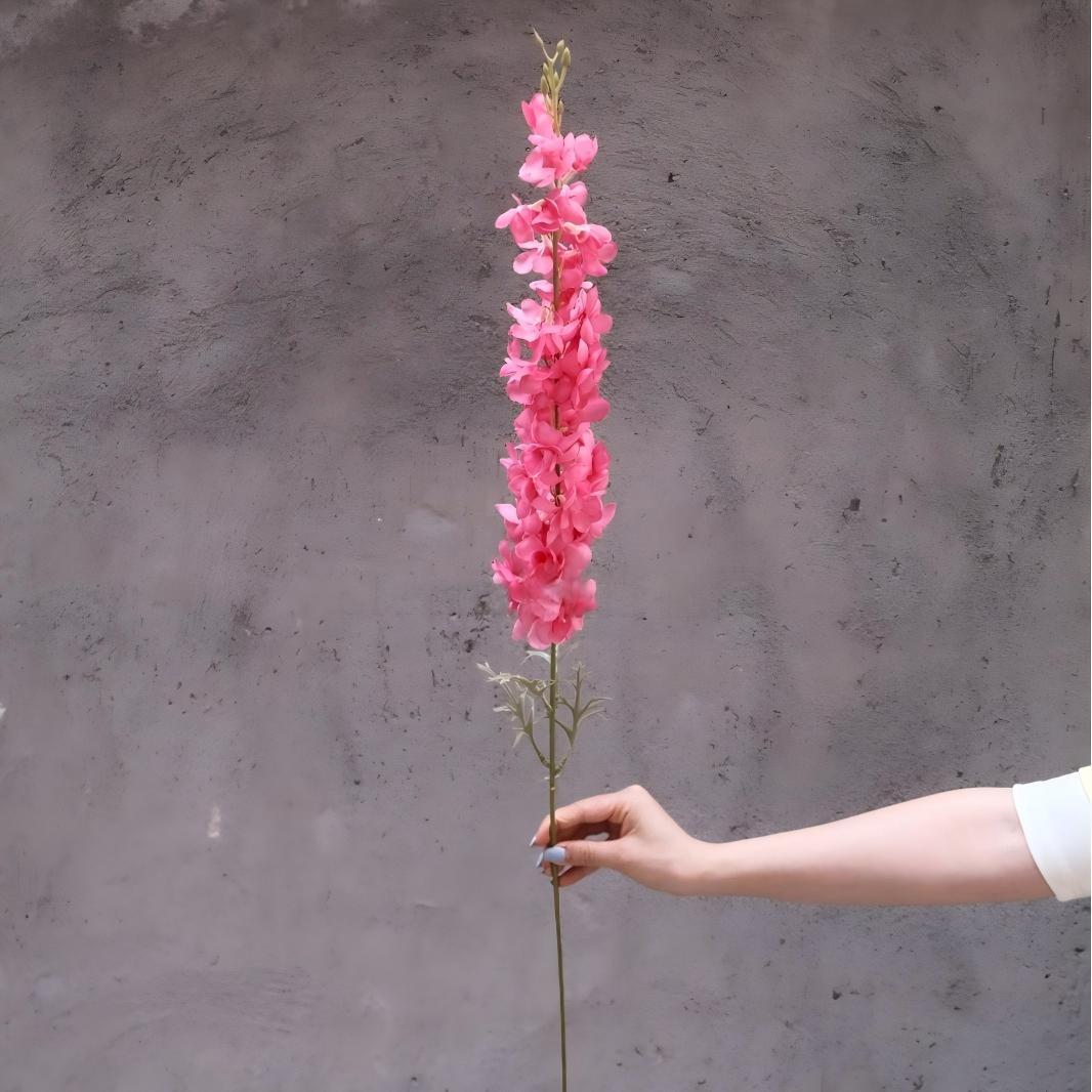 #5 Piccoli Larkspur