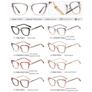 MS 82294 2025 Nuevas monturas <span class=keywords><strong>de</strong></span> anteojos TR90 + Gafas ópticas <span class=keywords><strong>de</strong></span> metal Bloqueo <span class=keywords><strong>de</strong></span> luz azul Gafas graduadas personalizadas Lunettes <span class=keywords><strong>De</strong></span> Luxe - Product Image 6